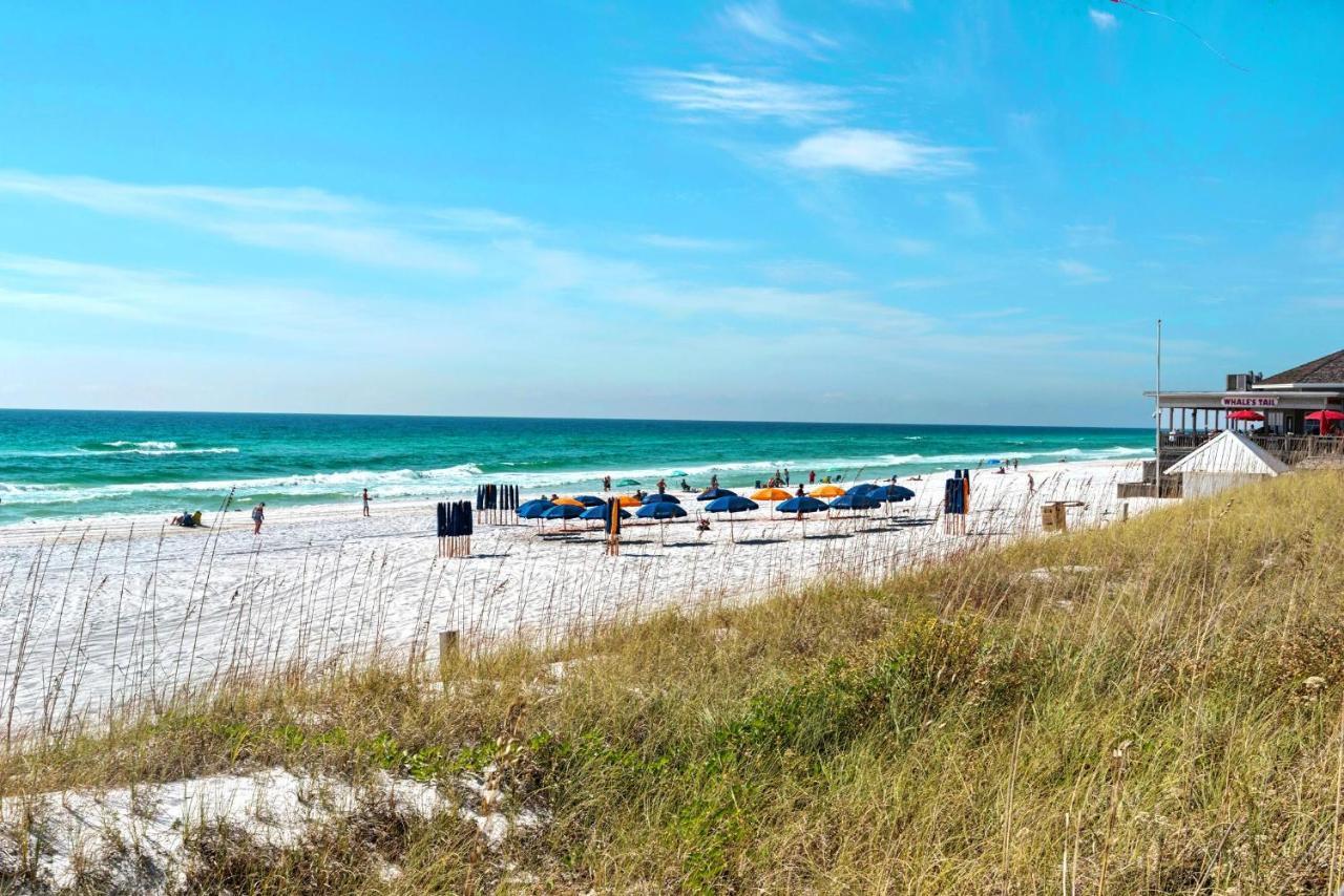 Ariel Dunes I 1502 Destin Luaran gambar