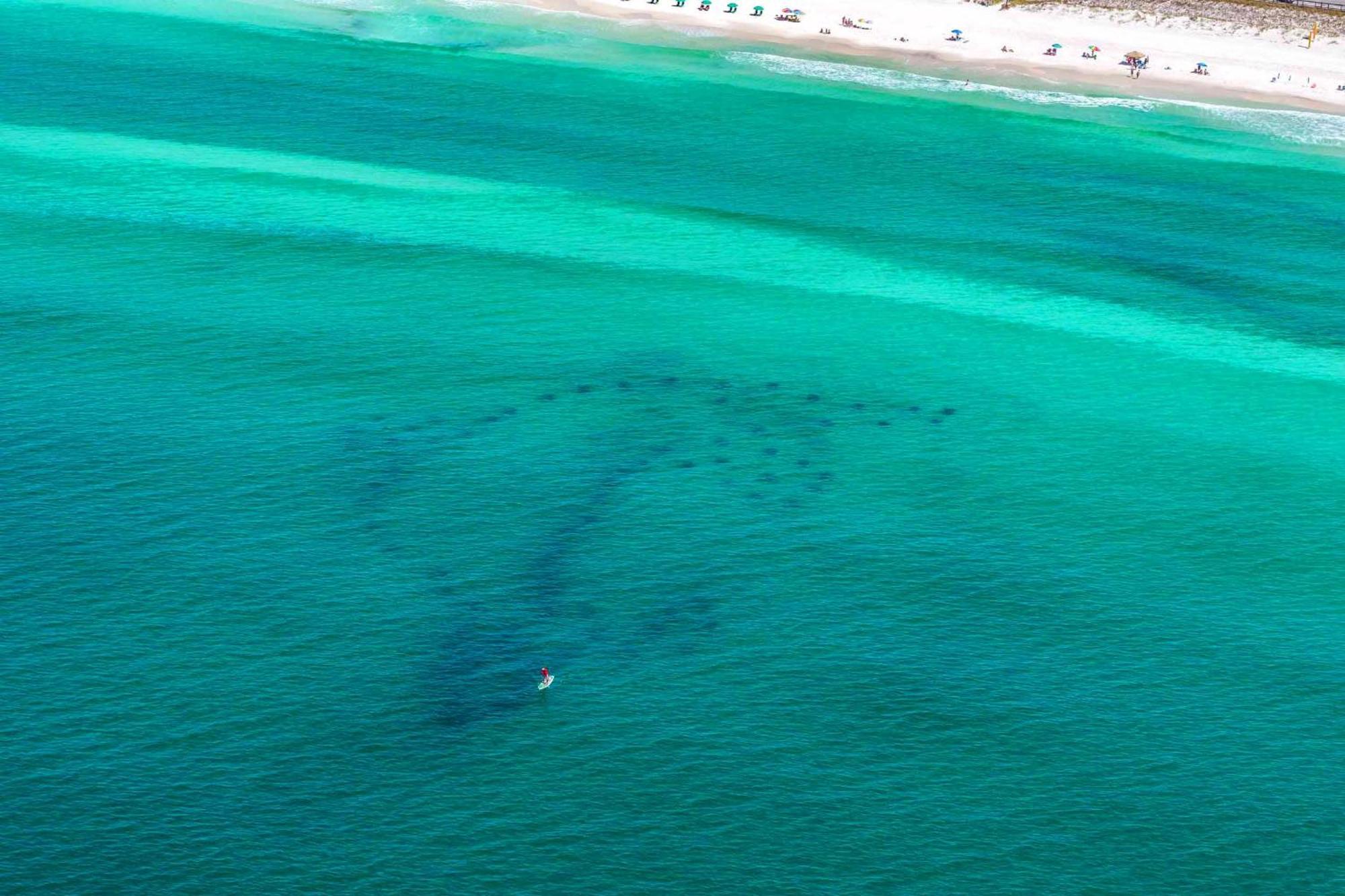 Ariel Dunes I 1502 Destin Luaran gambar
